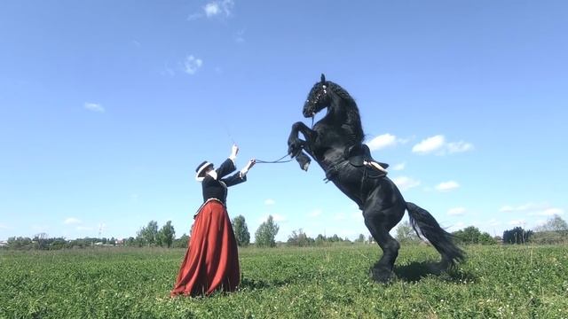 *** Соколиная охота 19-го века / Falconry in Russia *** смотреть онлайн