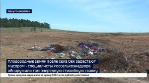 Вместо пшеницы — мусор. Свалка образовалась на землях сельхозназначения возле села Оек в Иркутском р
