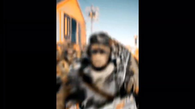 Хз что написать видео не мое смотреть онлайн