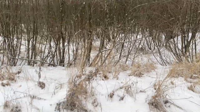 Продается участок 15 соток дер. Афанасьево, Александровский район, Владимирская область. смотреть онлайн