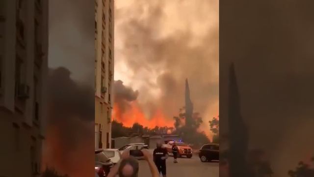 В итальянском Палермо природный пожар стал причиной массовой эвакуации