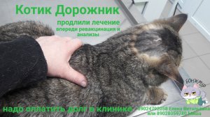 Дорожнику продлили лечение