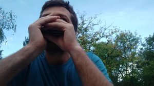 Наплевать ♫ на губной гармошке