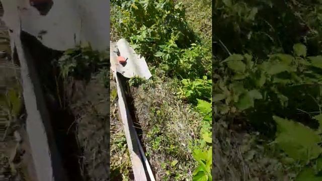 яблони сад в Якутии марха смотреть онлайн