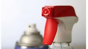 3 проверенных способа как можно избавиться от тараканов