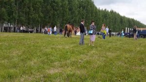 Сабантуй Балтаси 2021