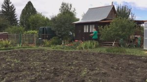 Сбор урожая картофеля на "северной даче".