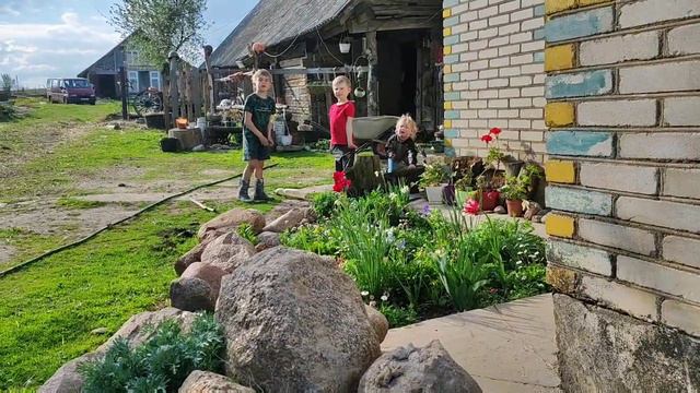 Сплошная красота на моих клумбах смотреть онлайн