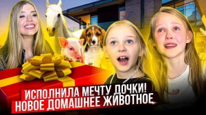 ИСПОЛНИЛА МЕЧТУ ДОЧКИ ! НОВОЕ ДОМАШНЕЕ ЖИВОТНОЕ !