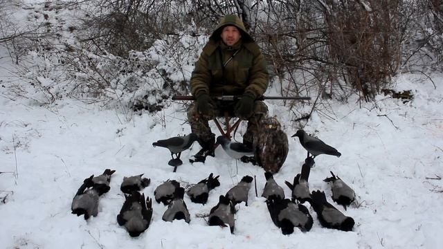 Охота на Ворон - Crow Hunting