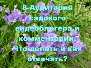 8-Аудитория садового видеоблогера и комментарии. Что делать и как отвечать?