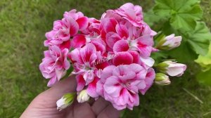 Ю_Домна Белотелова