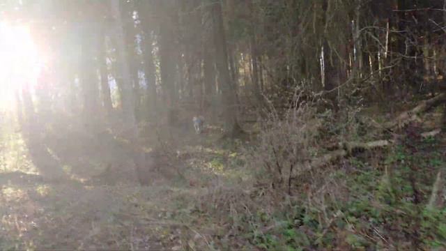 БЫЛИ В ВЕТ-КЛИНИКИ смотреть онлайн