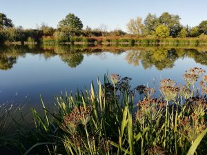 ВЬЮН НАД ВОДОЙ. Старинная русская народная песня