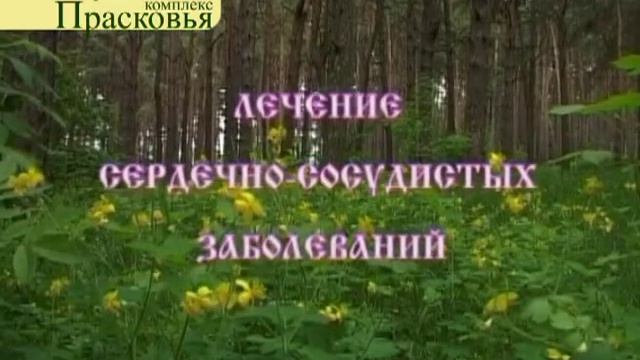 сюж.Суст.,сосуд, орг. дых. смотреть онлайн