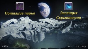 Destiny 2 Обитель Теней - Эссенция Скрытности (Поникшие перья) 153