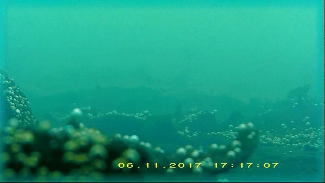 Камера с моторизированным зумом и фокусировкой смотреть онлайн