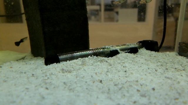 UDeco River Marble - Натуральный грунт для аквариумов "Мраморный гравий", 2-3 мм смотреть онлайн