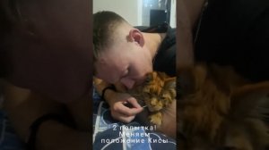 Как почистить зубы Мейн-куну?Как Удержать 8 килограммового кота?А ведь ему всего один год!