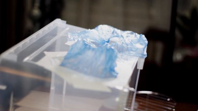 Самодельный ламинарный бокс для посева семян орхидей в стерильных условиях /Вып. 8 смотреть онлайн