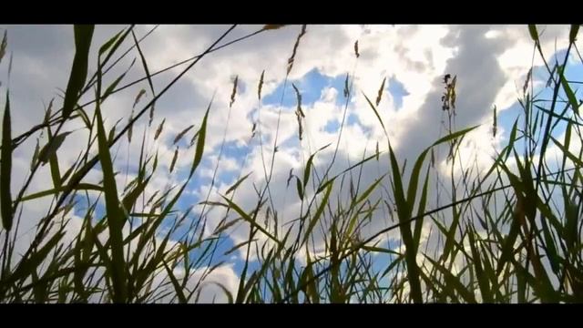 С Есенин 'кто я, что я' читает С Безруков 1 online video cutter com 5 смотреть онлайн