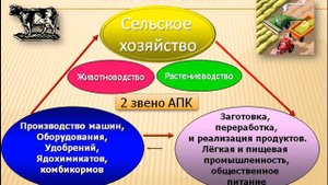 Сельское хозяйство в мире