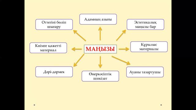 Өсімдіктердің көптүрлілігі және олардың рөлі. Жаратылыстану. 5- сынып.