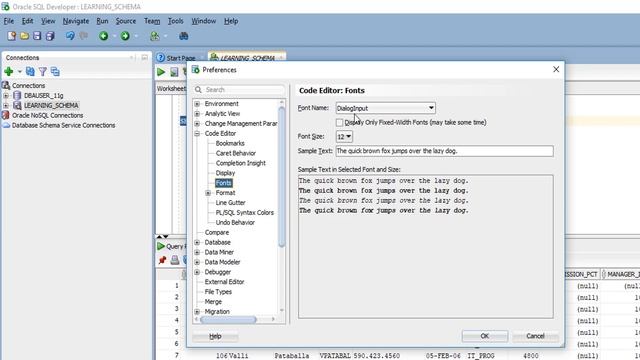 How to Change Oracle SQL Developer Font Type & Font Size | Oracle SQL Developer Tips and Tricks