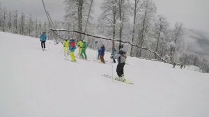 Хоккейная остановка в горных лыжах