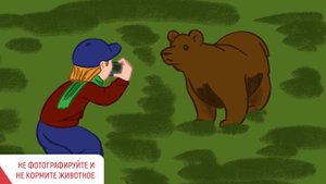 Правила поведения при встрече с дикими животными