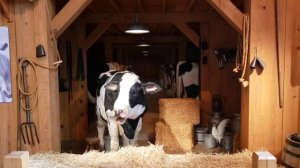 Billy Graham Library.   Библиотека-музей Билли Грема в г.Шарлота Северная Каролина