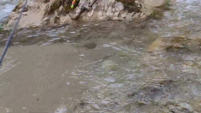 рыбалка в КБР # Trout fishing февраль по ущельям смотреть онлайн