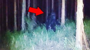 Страшные Видео и Страшилки со Всего Мира