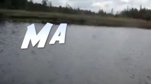 Язь рыба моей мечты (Yaz [ide] - english version)