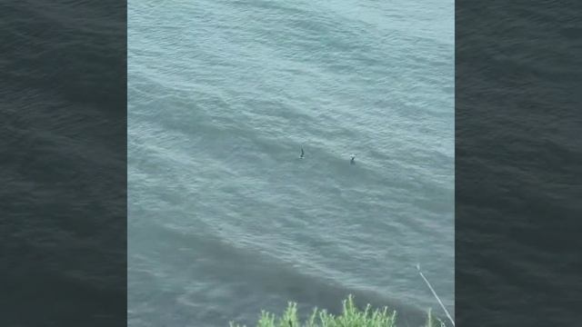 «Воспоминание» Николай Гумилёв смотреть онлайн