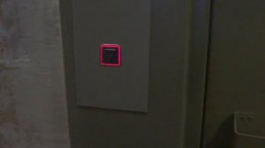 Новый лифт ЩЛЗ Ecowellmaks и  лифт с ширмовыми дверьми