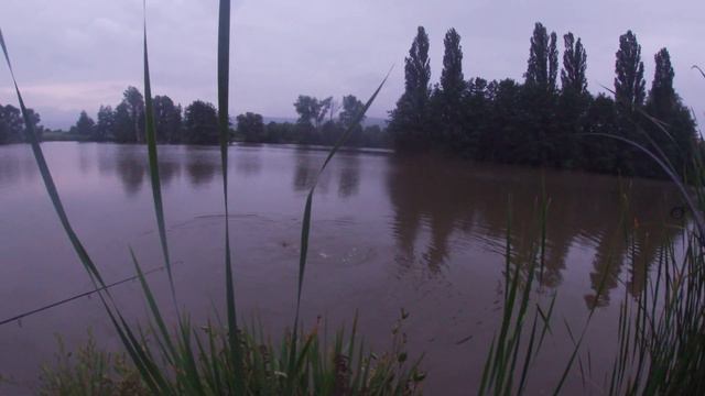 Карп 6 кг вываживание 13 07 19 смотреть онлайн