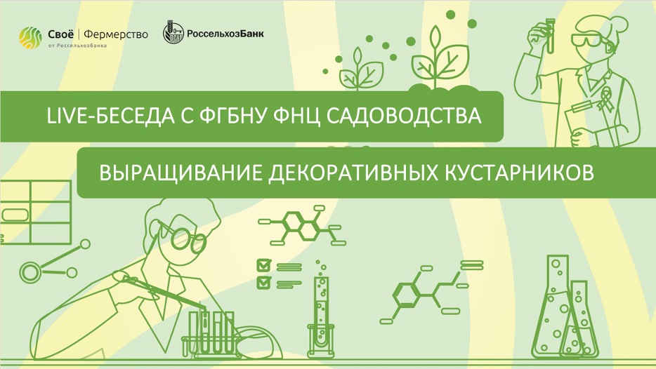Выращивание декоративных кустарников