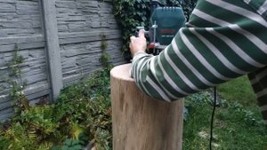 Пень-колода. Сплетень. Марка