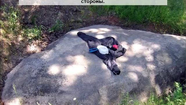 4 Ориентирование по местным признакам