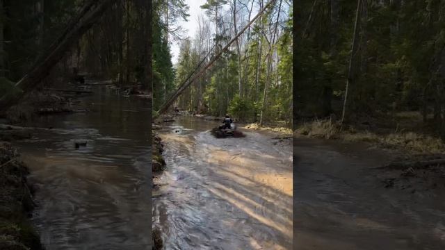 Девушка на грязевом квадроцикле #квадроцикл