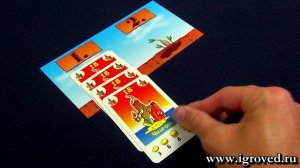 Бонанза. Обзор настольной игры от Игроведа