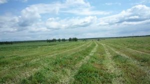 Белый аист летит...MOV