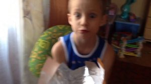 Целая плитка шоколада где?