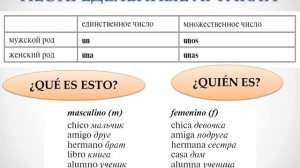 ИСПАНСКИЙ ДЛЯ НАЧИНАЮЩИХ / ИСПАНСКИЕ АРТИКЛИ