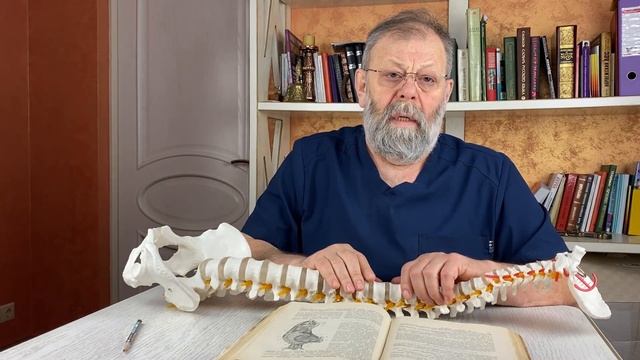 БОЛЬ МЕЖДУ ЛОПАТОК? Всего 2 минуты и боли нет!!!!