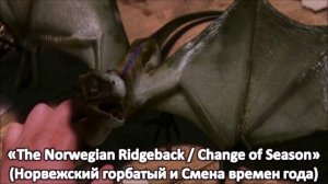 ♫ Вся музыка "Гарри Поттер и Философский камень" ♫