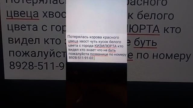 Ишем корову красного цвета хвать кусок белый нашедшего просим позванить по номеру карова с КИЗИЛЮРТ