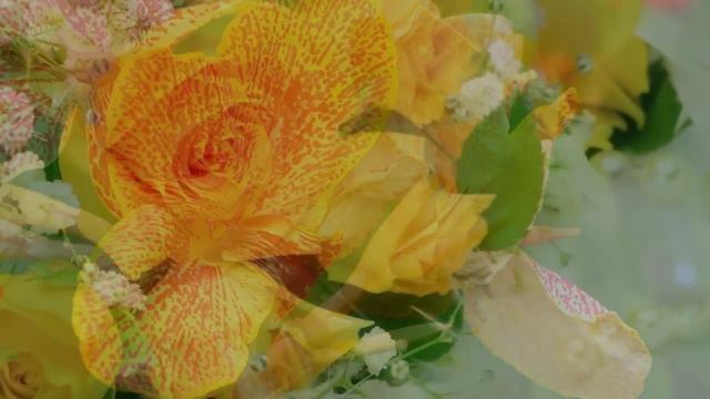 Красивые Цветы и Красивая Музыка!