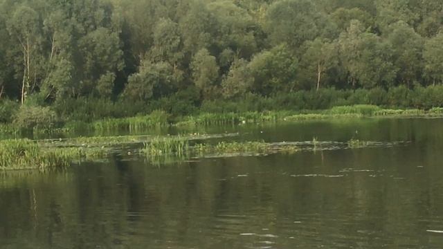 Тихии воды Оки. 19-08-2023